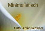 Minimalistisch