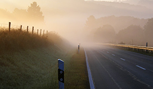 Nebel auf der Straße