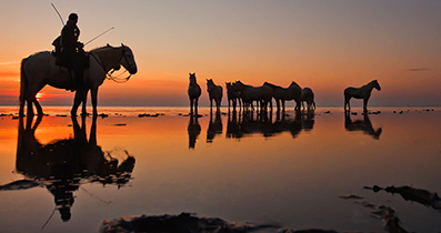 Sunrise camargue by G. Mason