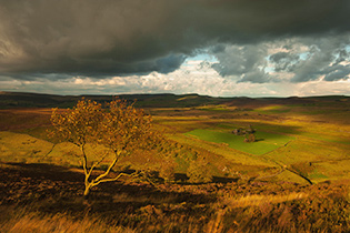 Threatening storm by K. Allsop