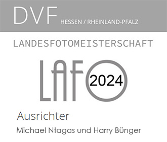 DVF LFM