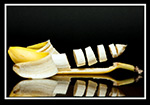 Banane - O. Jugelt
