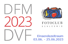 DFM 23
