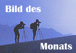 Bilder des Monats