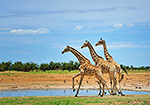 Namibia - R. Mangels