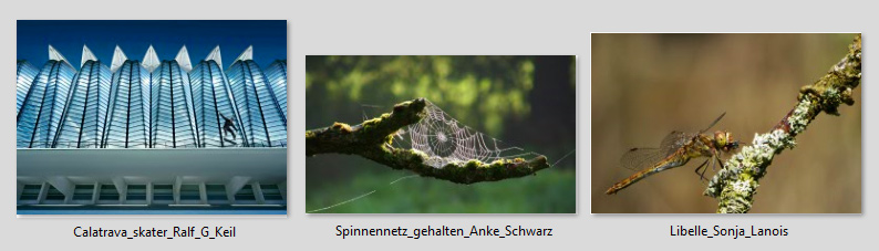 TOP-Punkte FWL