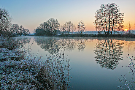 Winter - T. Reimer